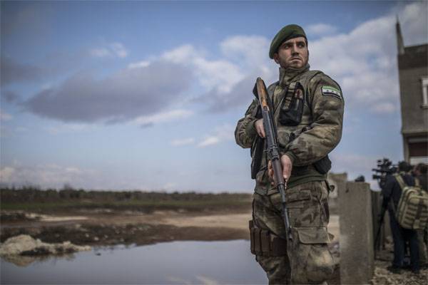 Западные СМИ: США не могли не знать о контактах курдских отрядов с Асадом