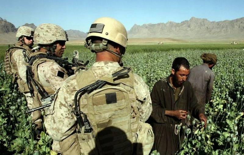 Производство героина в Афганистане выросло в три раза за три года