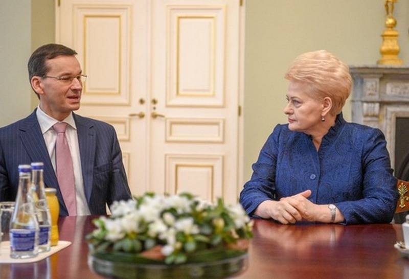 Литва рассчитывает на поддержку Польши во избежание военной изоляции