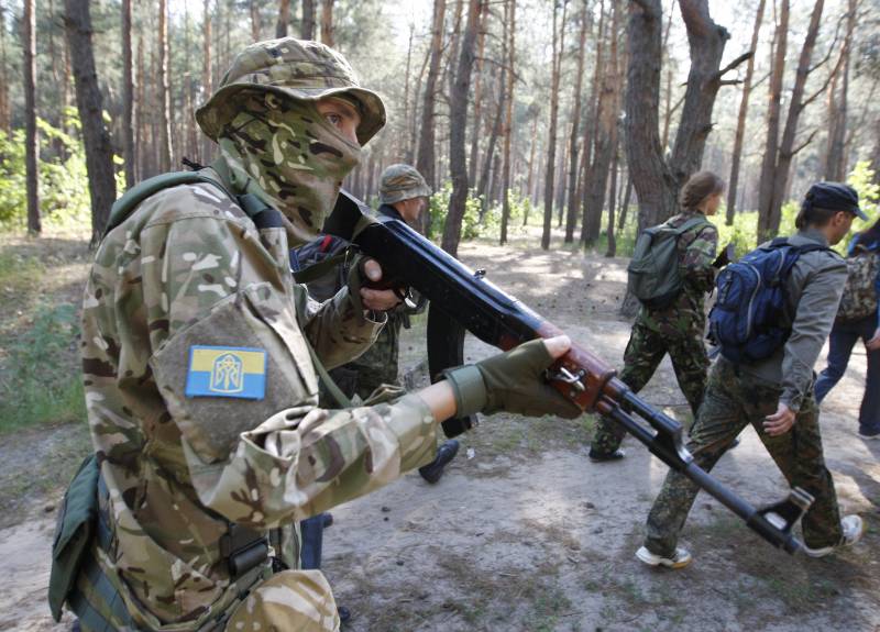 Эксперт рассказал о возможной роли украинских спецназовцев в войне между НАТО и Россией