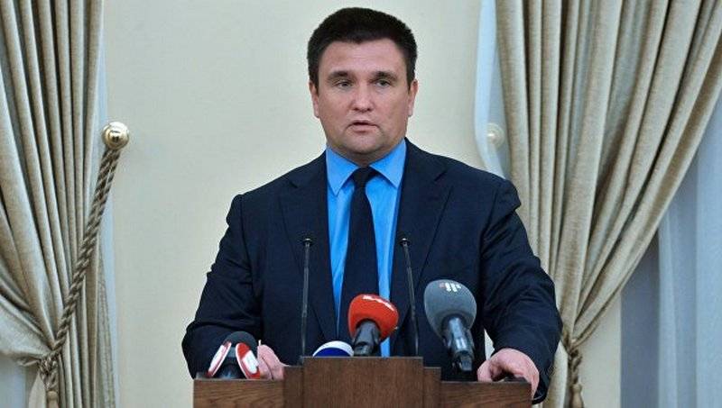 Климкин "настучал" в ЕС на организаторов выборов в Крыму