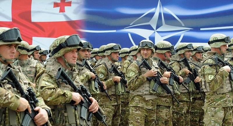 Грузия и НАТО - дружба навеки? Альянс пообещал Тбилиси поддержку в ответ на "действия России"