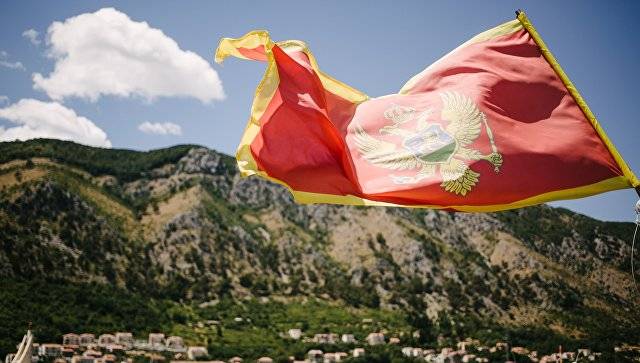 В Черногории подсчитали сумму российских инвестиций за 10 лет