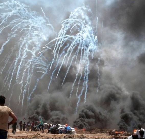 О трагедии в Газе. Видят ли рядовые палестинцы и израильтяне друг в друге врага?