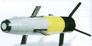 
		2K25M «克拉斯诺波尔-M1» - 制导弹丸