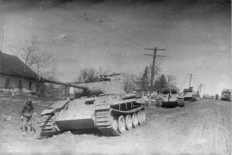  坦克豹 TTX, 视频, 一张照片, 速度, 盔甲