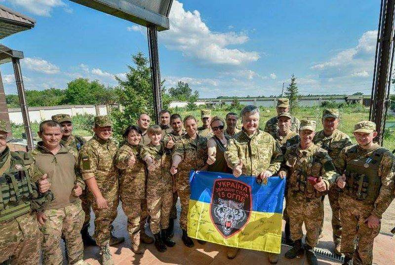 Гриценко: Украинская армия находится в плачевном состоянии