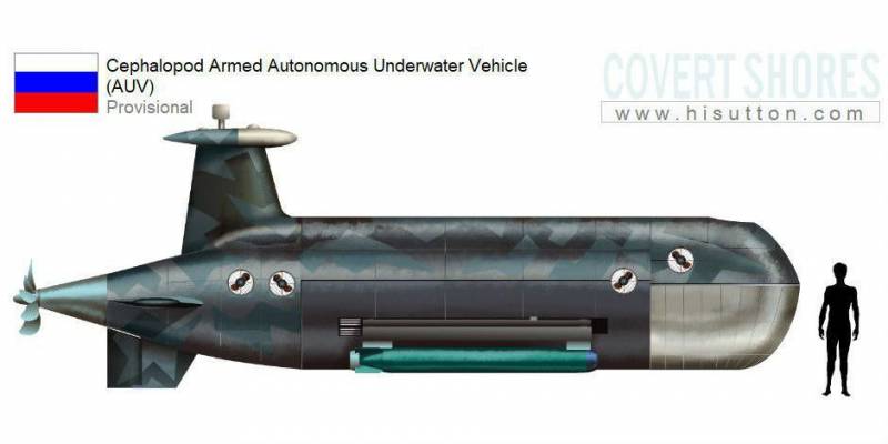В РФ разрабатывается боевой подводный беспилотник «Цефалопод»