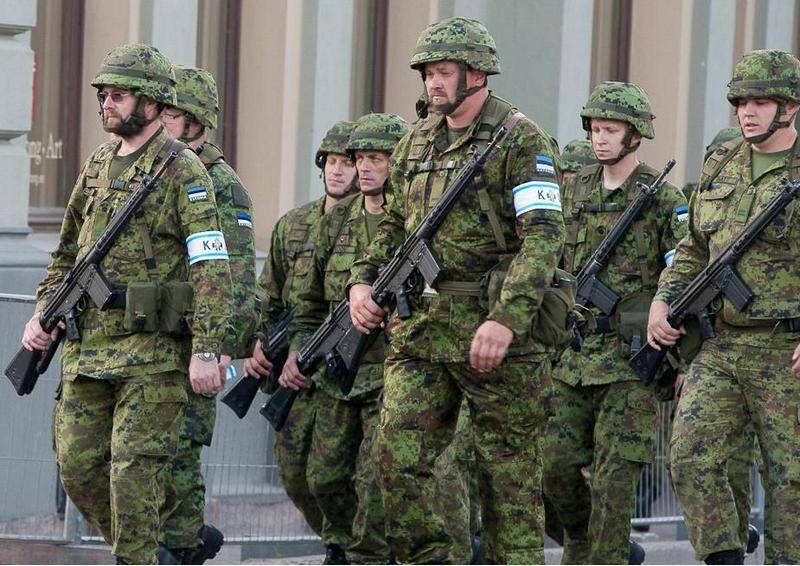 Эстония запланировала рекордные военные расходы на 2019 год