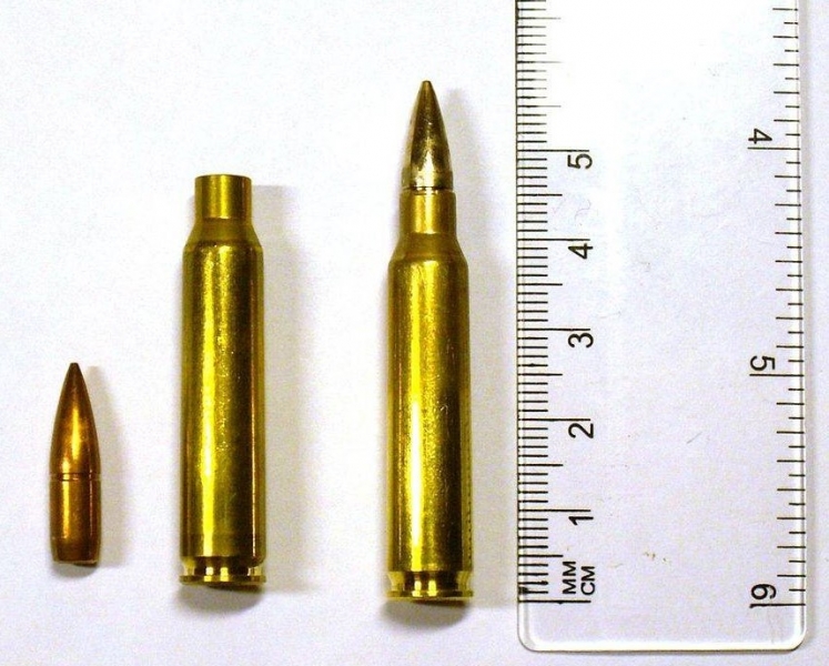 子弹和肉: 周围的激情 5,45 和 5,56 毫米 