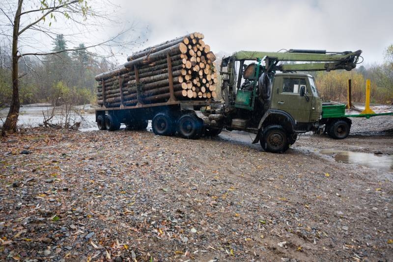 The head of the Federation Council proposed to introduce a temporary embargo on the export of round timber