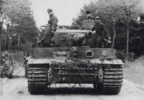 Why did the Soviet Union fought in the captured German Tigers and Panthers