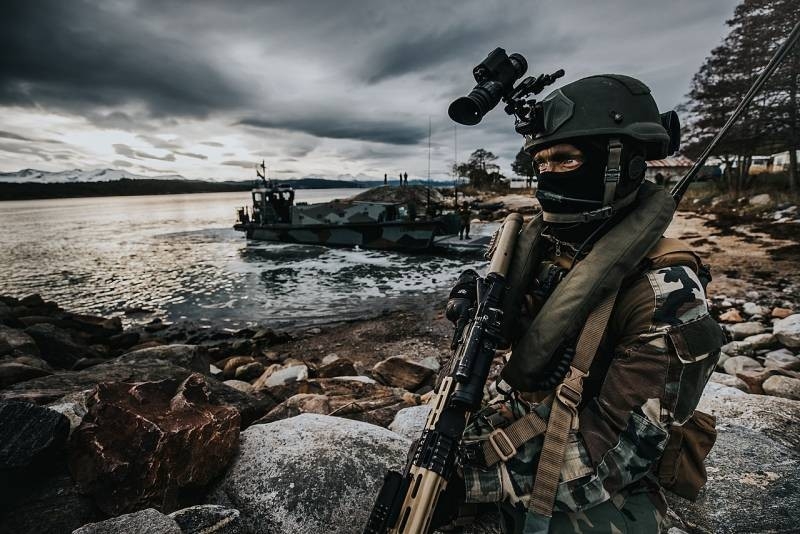 NATO in the Arctic. Potential, Problems, lag