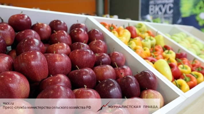 Эксперт рассказал о последствиях для России запрета ввоза яблок из Белоруссии