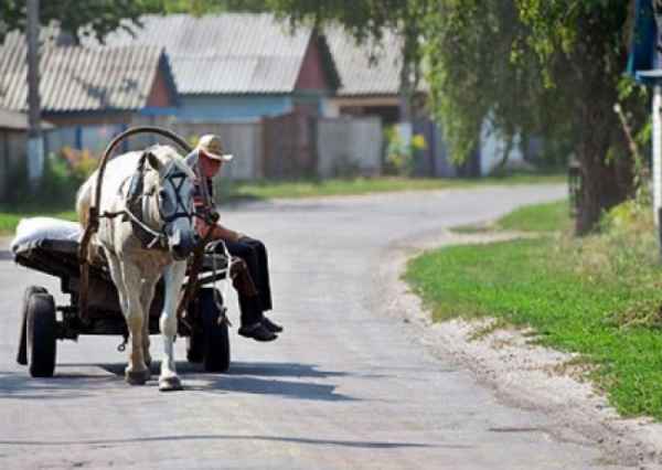 Аграрная сверхдержава отменяется. Кто обогатился на уничтожении украинского села?
