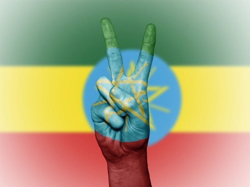 厄立特里亚, Сомали и Турция выразили поддержку Эфиопии, где провалилась попытка госпереворота