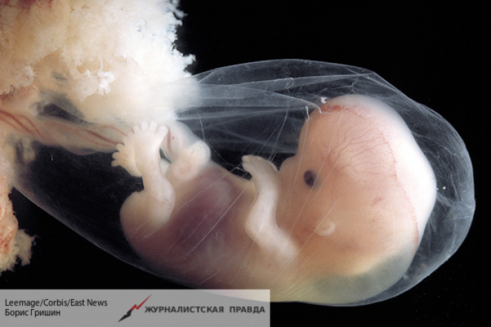 РПЦ требует узаконить права человеческого эмбриона
