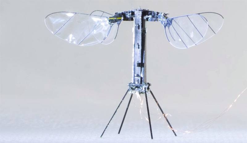 В США показали дрона-"насекомого" массой менее грамма