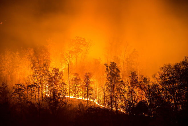 Fires in Siberia are a disaster on a planetary scale