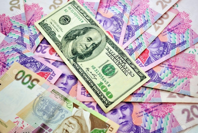 Currency swings in Ukraine: Causes, investigation and perspectives