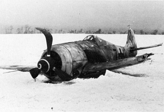 Aeronave de combate: Caza FW-190 