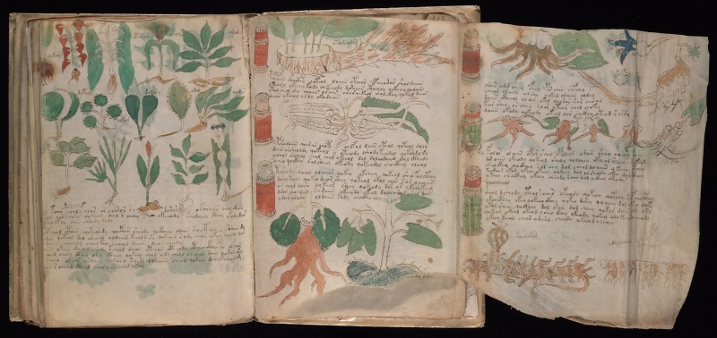 El manuscrito de Voynich.. Trolling del siglo XV