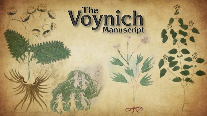 Voynich Manuscript. Trolling the XV century