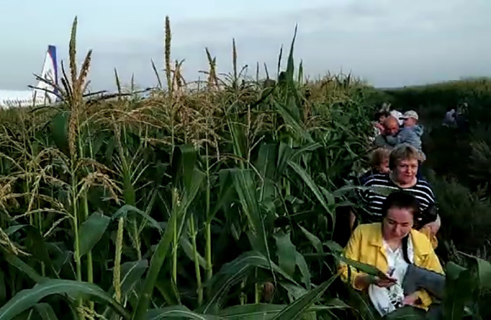 Airbus landing in a cornfield: how it was