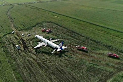 Airbus landing in a cornfield: how it was