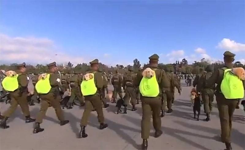 In Chile, a military parade was held with the puppies in backpacks