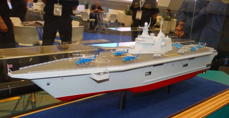 Military Watch: Why Russian Defense Minister does not need aircraft carriers