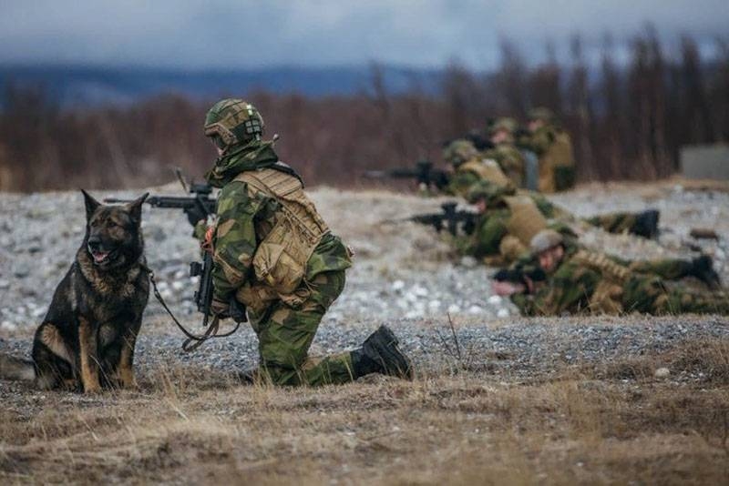 Norwegian General: Army in its present state can not provide reliable protection of the country