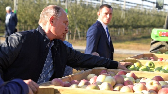 Food security doctrine will open new markets for Russia