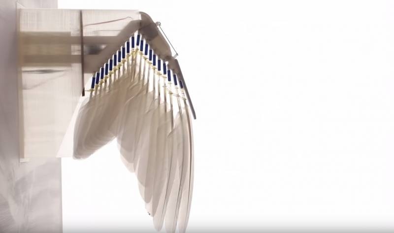 «Всё для маневренности»: American scientists have given drone feathers