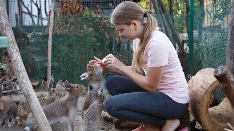 Жительница Подмосковья основала единственный в России центр реабилитации диких зайцев