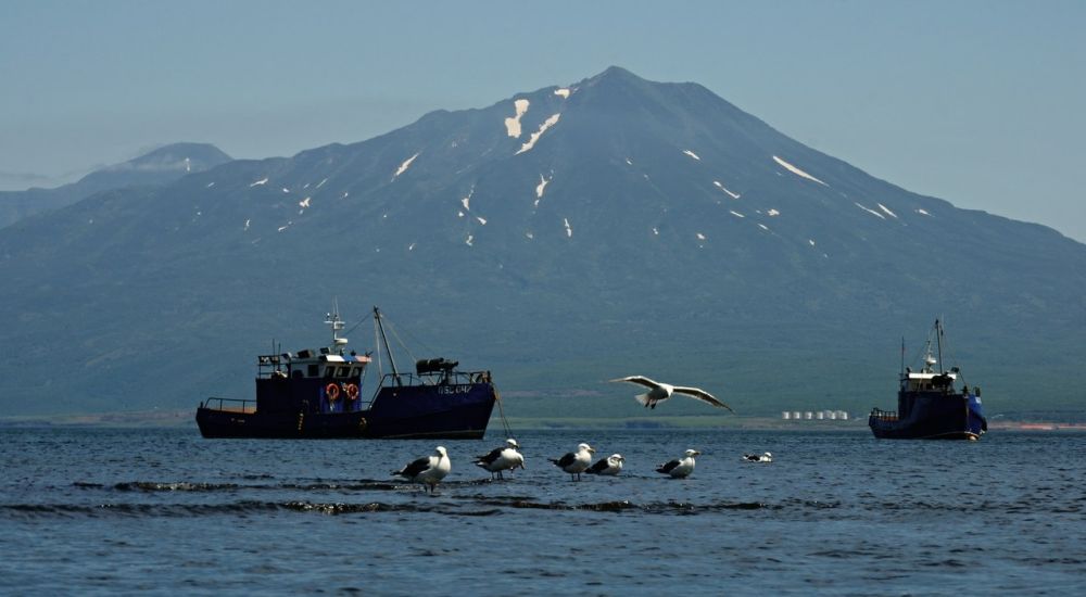 Японцы считают территориальные воды России своими