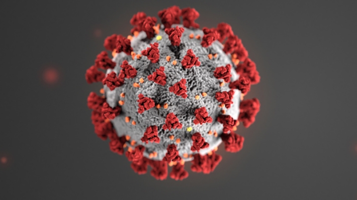 Example tuberculosis may help in the treatment of coronavirus