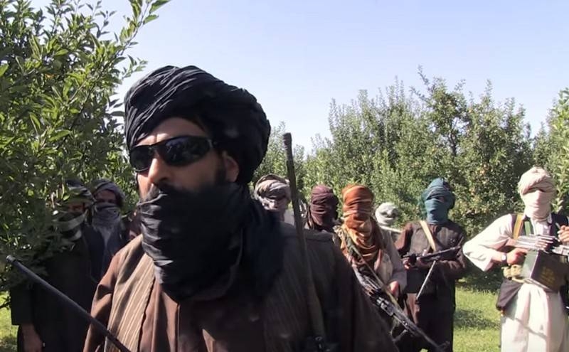 美国情报: талибы не намерены выполнять мирное соглашение