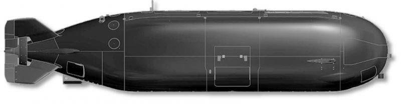 Боевые пловцы ССО ВС США получили первый подводный транспортировщик
