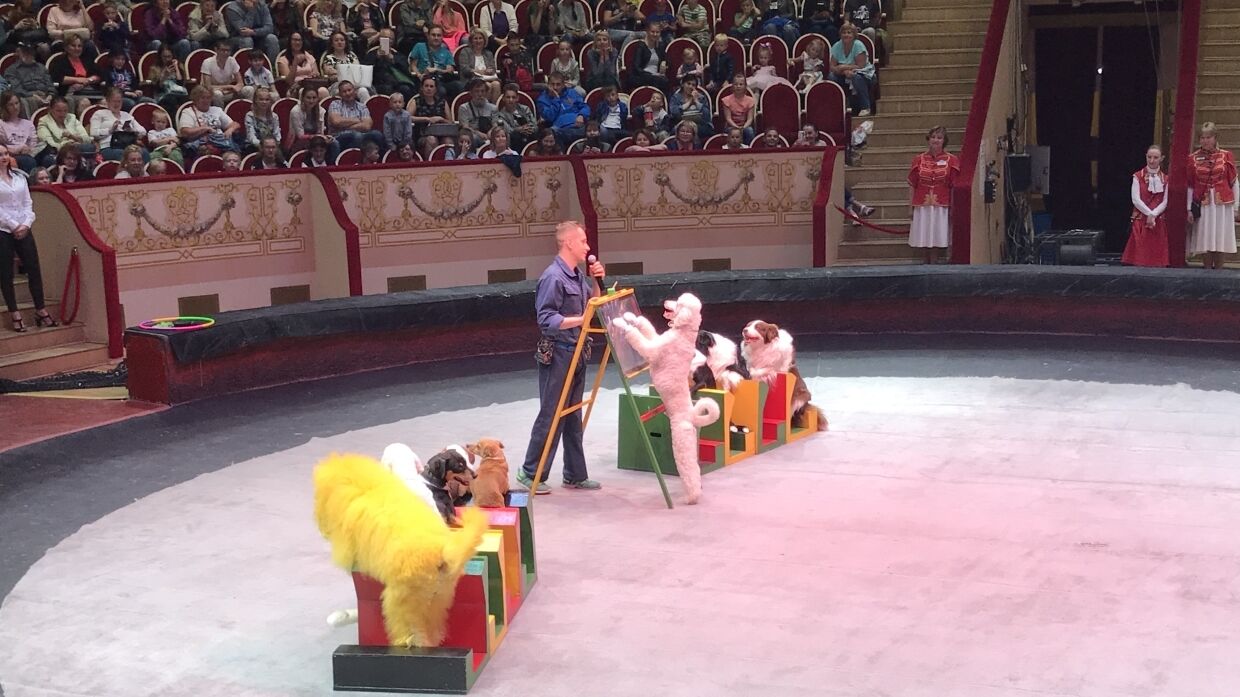 Edgard Zapashny called on world leaders to support circuses