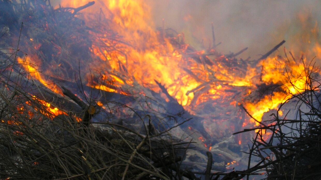 Kobylkin asks the prosecutor's office to pay attention to the fall of grass in a fire hazard