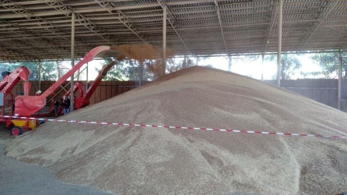 Russia dictates new rules of the game on the world grain market and prepares for superprofits