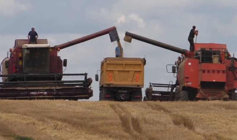 В Польше рассказали о росте цен на зерно в ЕС на фоне приостановки российского экспорта