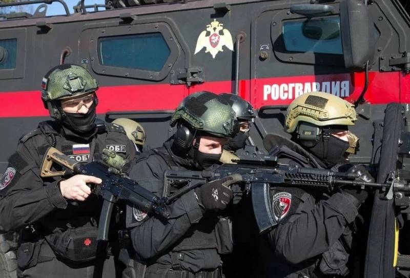 В России обсуждается тендер Росгвардии на закупку ручных гранат РГН