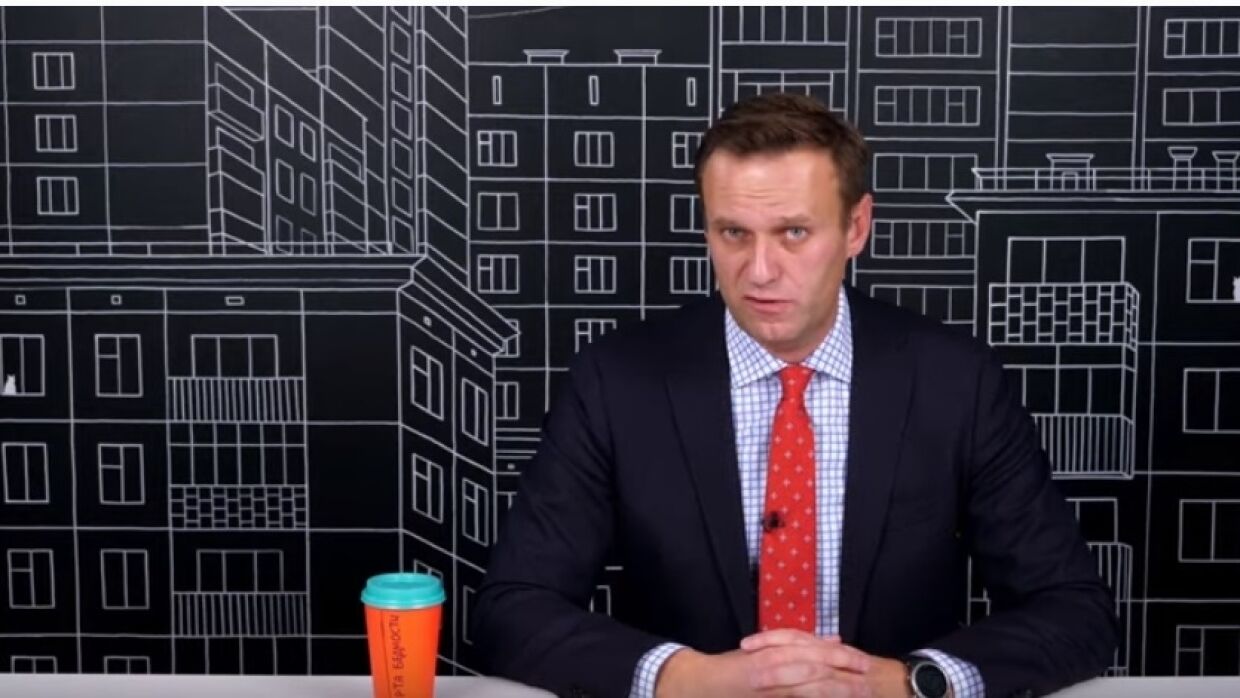 Навальный переврал слова Захаровой о путешествиях в рамках информационной кампании против МИД