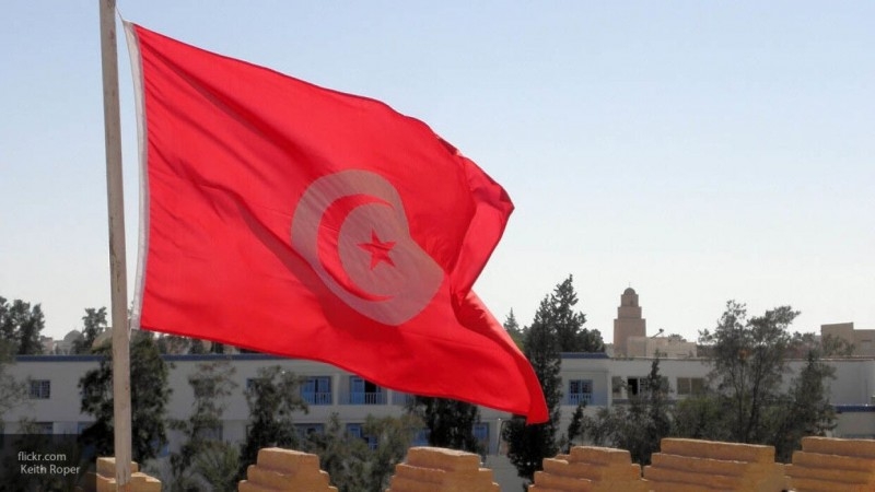 "Братья-мусульмане" призывают власти Туниса оказать поддержку террористам из ПНС Ливии