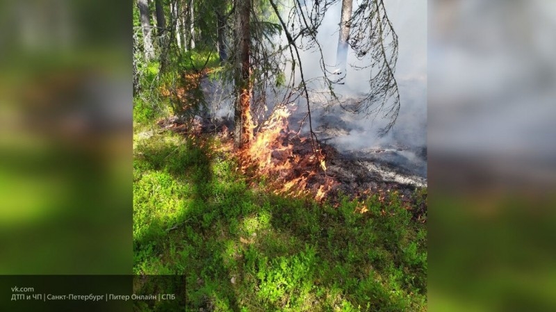 Военные ЗВО ежедневно мониторят лесные массивы на предмет пожаров с помощью БПЛА