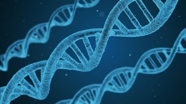 Altstein: Own DNA base will bring Russian genetics closer to global developments