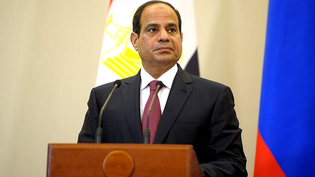 Египет поддержал Хафтара в борьбе с террористами ПНС Ливии и Турцией