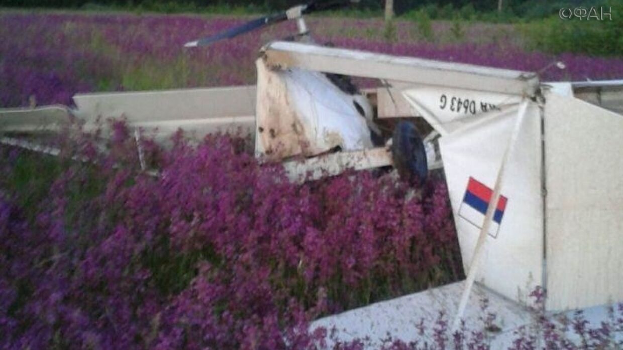 FAN publishes a photo from the crash site of a light-engine aircraft in the Ryazan region